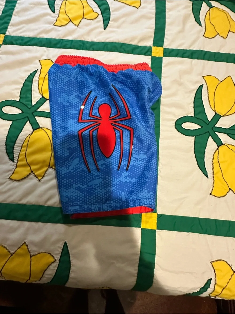 Spider-Man Red & Blue Rash Guard Set